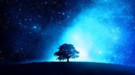 Timeline: Evolución Ecologia