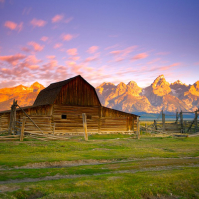 Timeline: Historical Patterns: Relationship to the Environment