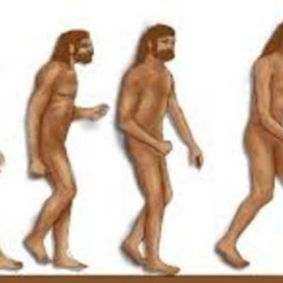 Timeline: Homínidos