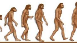 Timeline: Homínidos