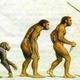 Evolucion