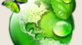 Timeline: linea del tiempo