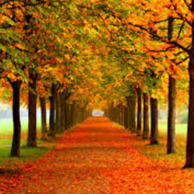 Timeline: Autumn Blair