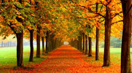 Timeline: Autumn Blair