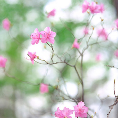 Timeline: LIFE TIMELINE