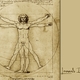 Leonardo da vinci vitruvian man
