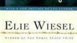 Timeline: Night Timeline