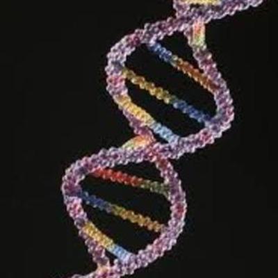 Timeline: Genetics and DNA contibutions