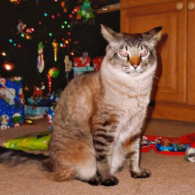 Timeline: Civil War A4