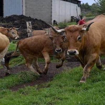 Timeline: UNED,LINEA TIEMPO CARLOS