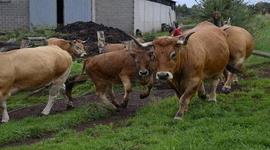 Timeline: UNED,LINEA TIEMPO CARLOS