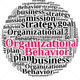 Stock photo organizational behavior in word cloud 121787488