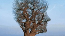 Timeline: Historia de la Psicologia