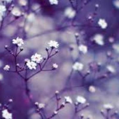 Timeline: The World at War