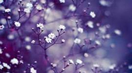 Timeline: The World at War