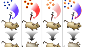 Timeline: Genetics And DNA Contributions