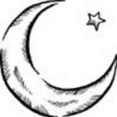 Timeline: etapas de la vida