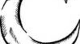 Timeline: etapas de la vida