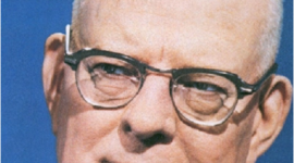 Timeline: LA CALIDAD