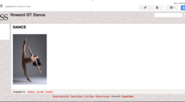 Timeline: Artist Portfolio Project