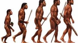 Timeline: Eje cronológico