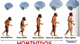 Timeline: Eje Cronológico - Homínidos