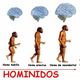 Hominidos lamina 3