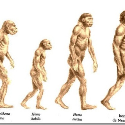 Timeline: Homínidos
