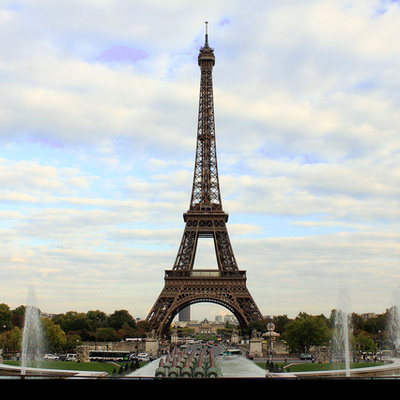 Timeline: Kaelynn Dieleman