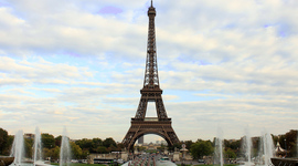 Timeline: Kaelynn Dieleman