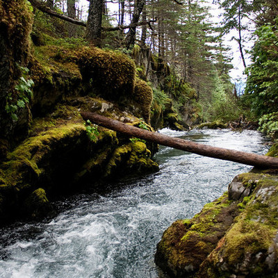 Timeline: Chris McCandless's Journey