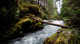 Timeline: Chris McCandless's Journey