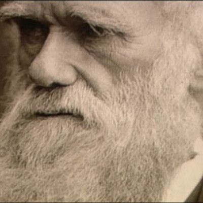 Timeline: Darwin