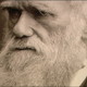 Charles darwin