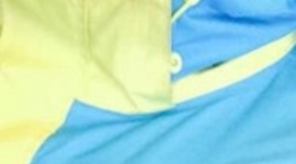 Timeline: Mi vida/ la vida de...