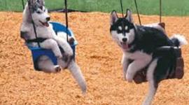 Timeline: Medieval Timeline AB2 N.O.