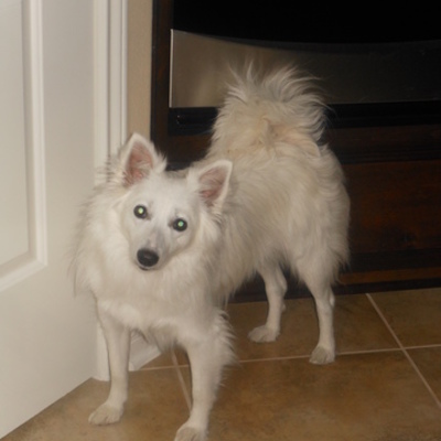 Timeline: Civil War in the US and Texas