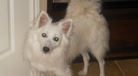 Timeline: Civil War in the US and Texas