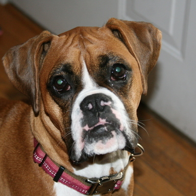 Timeline: Timeline Final Project