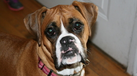 Timeline: Timeline Final Project