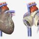 Artificialheartpic