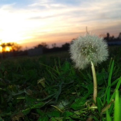 Timeline: The Life of Ruth Garcia