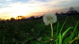 Timeline: The Life of Ruth Garcia