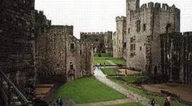 Timeline: Medieval Timeline