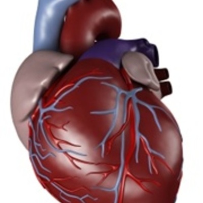 Timeline: Path of Blood
