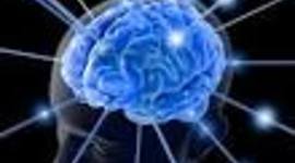 Timeline: Desarrollo histórico de la neuropsicologia