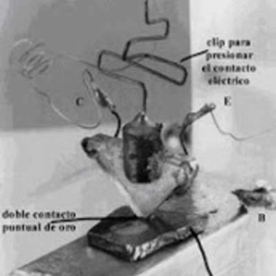 Timeline: Desarrollo científico tecnológico