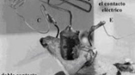 Timeline: Desarrollo científico tecnológico