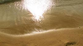 Timeline: Michelle victoria