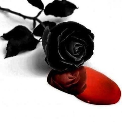 Timeline: History time line